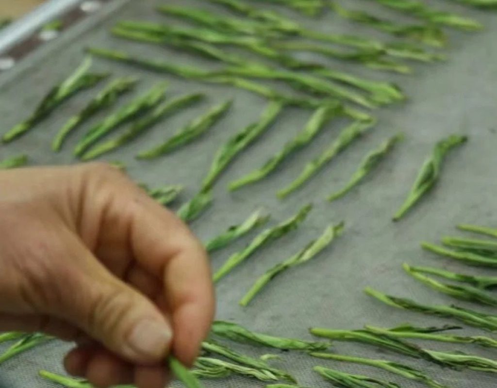 Taiping Houkui Tea