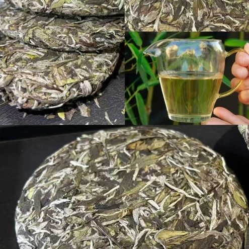 Zhenghe White Peony Tea