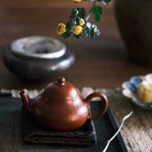 Why You Should Make Tea a Daily Habit